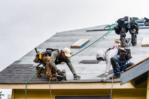 Professional Storm Damage Roof Repair technician working in South Hackensack, NJ
